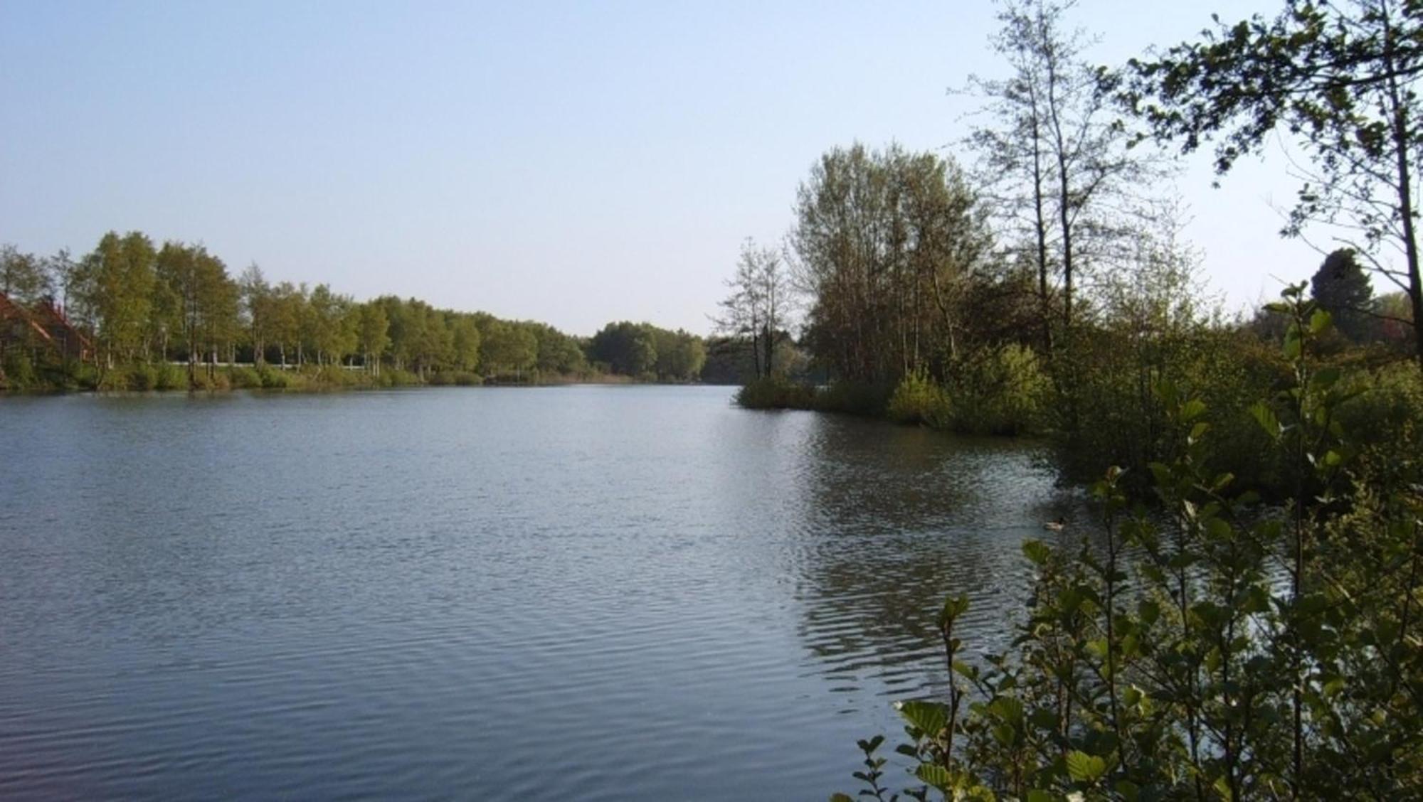Apartament Vogelnest Hage Zewnętrze zdjęcie